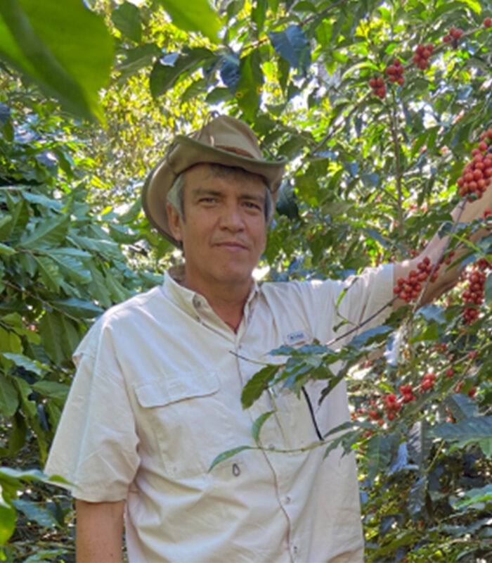 El Salvador Finca El Gobiado - Afbeelding 2